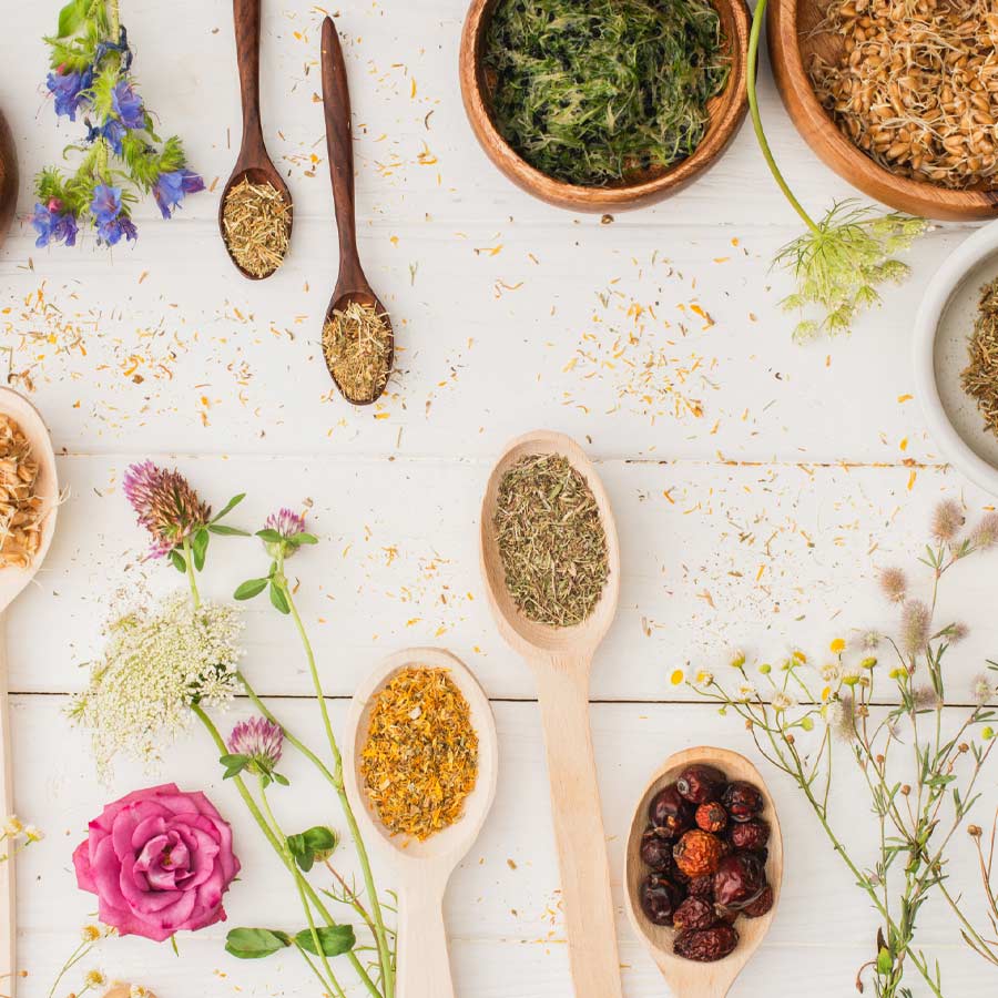 naturopathie-dijon naturopathie Dijon